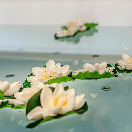 Altalena Luxury And Affittacamere 4*