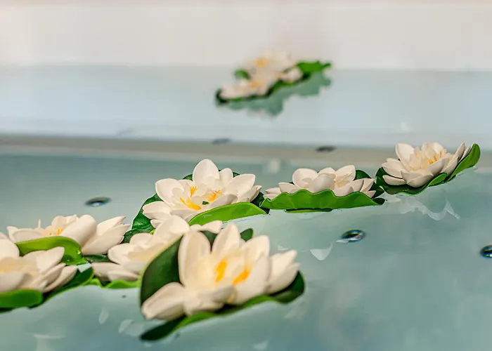 Altalena Luxury And 招待所 4*